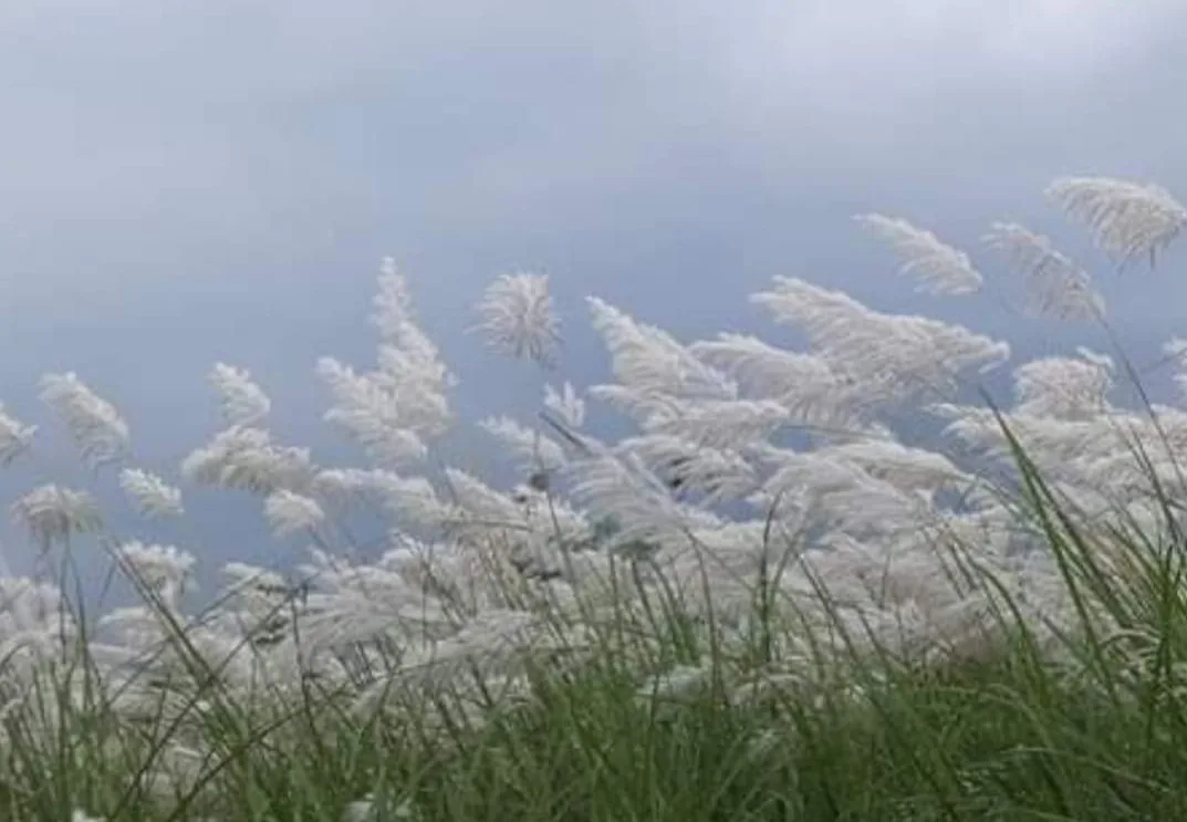 Hoàng hôn quê tôi – Lê Hoàng Phương