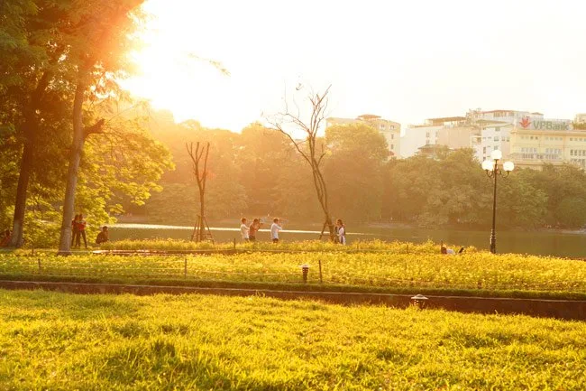 Mùa hạ vàng – Thơ Nguyễn Đức Toàn
