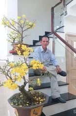 Chùm thơ “Hoa Cỏ Mùa Xuân” – Tác giả ĐỖ VŨ PHONG (TP. Hồ Chí Minh)