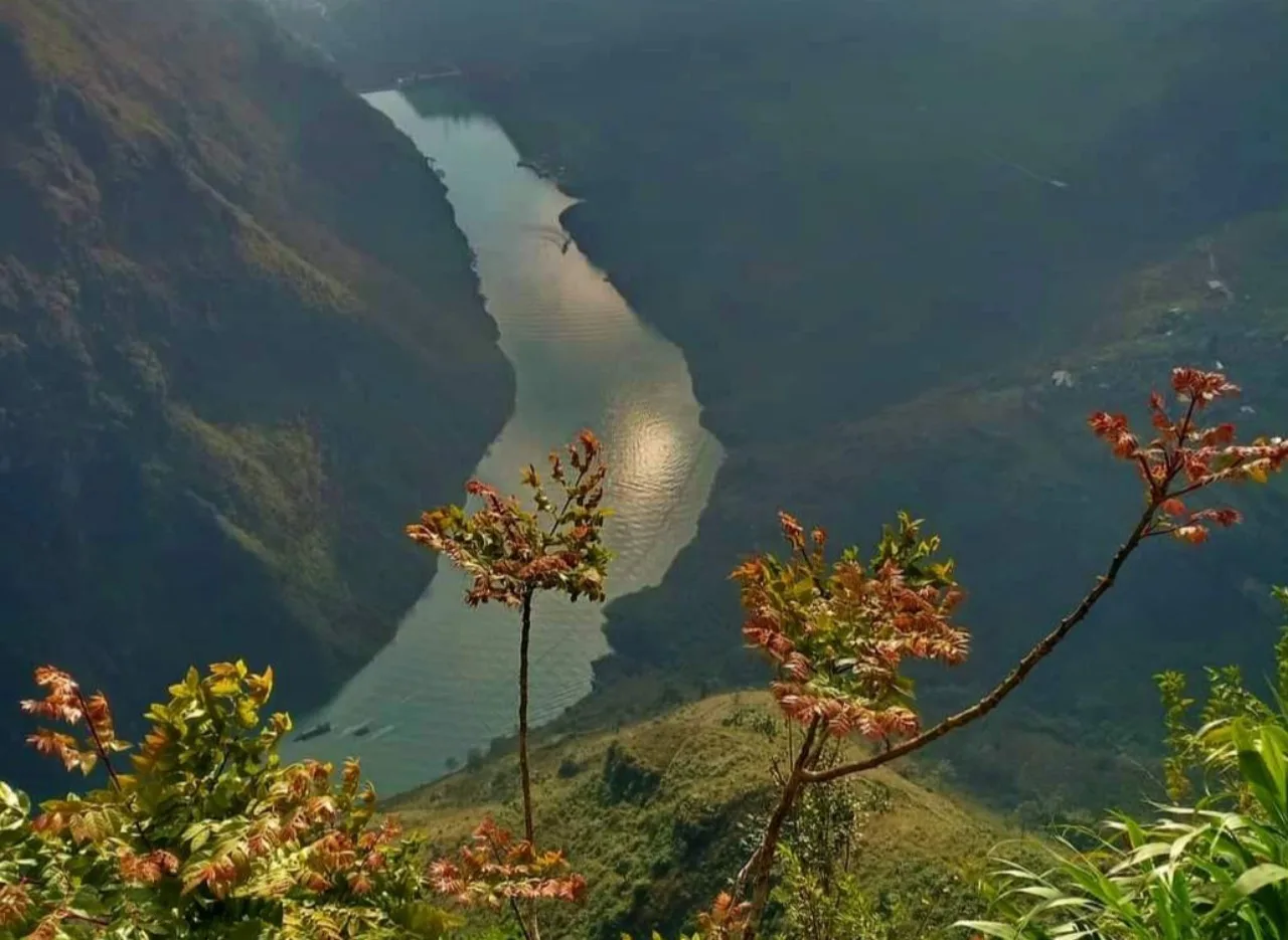 Thương nhớ Hà Giang – Cỏ Ba Lá