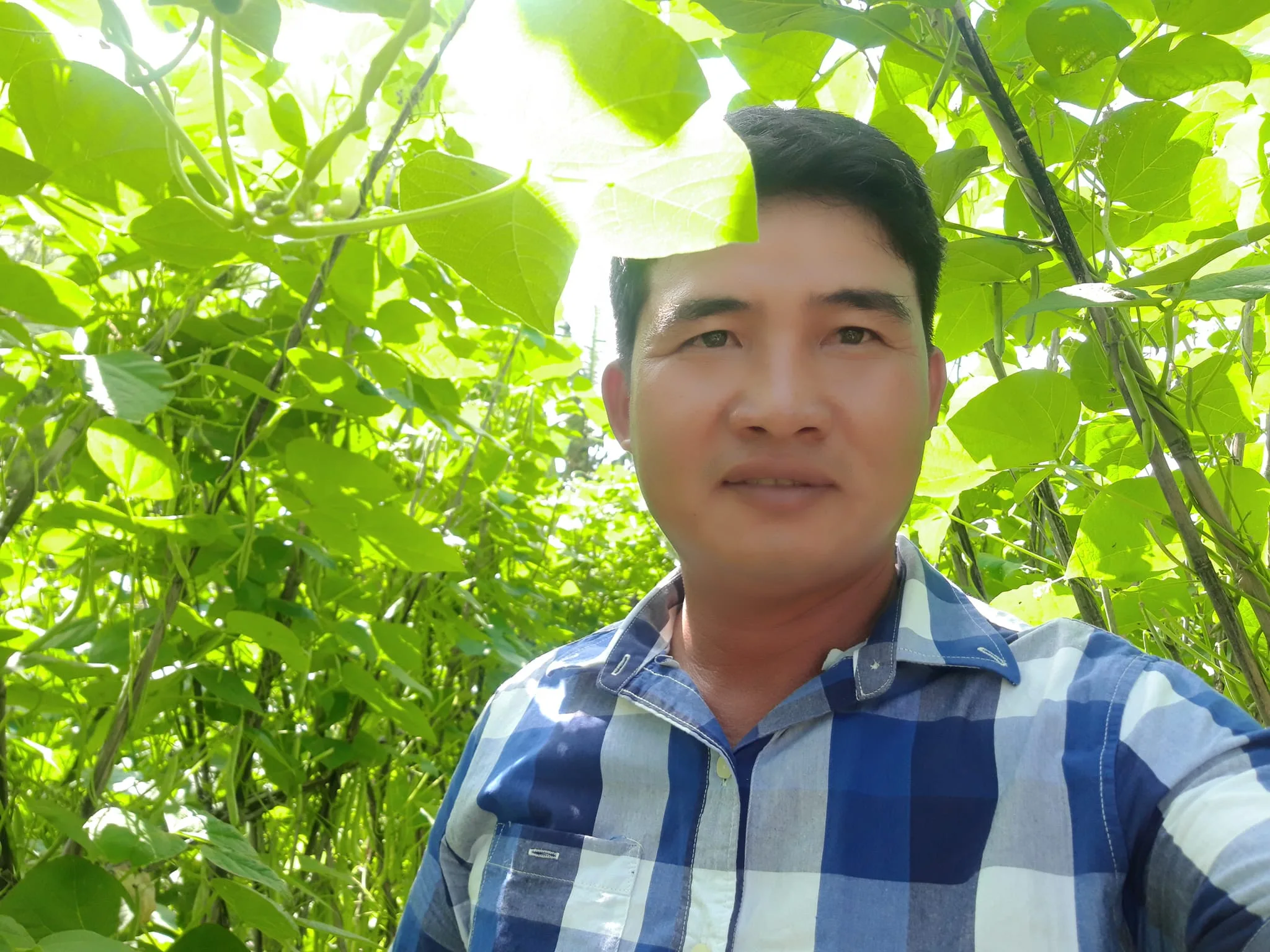 Gánh đậu hũ – Tác giả Trần Văn Hải