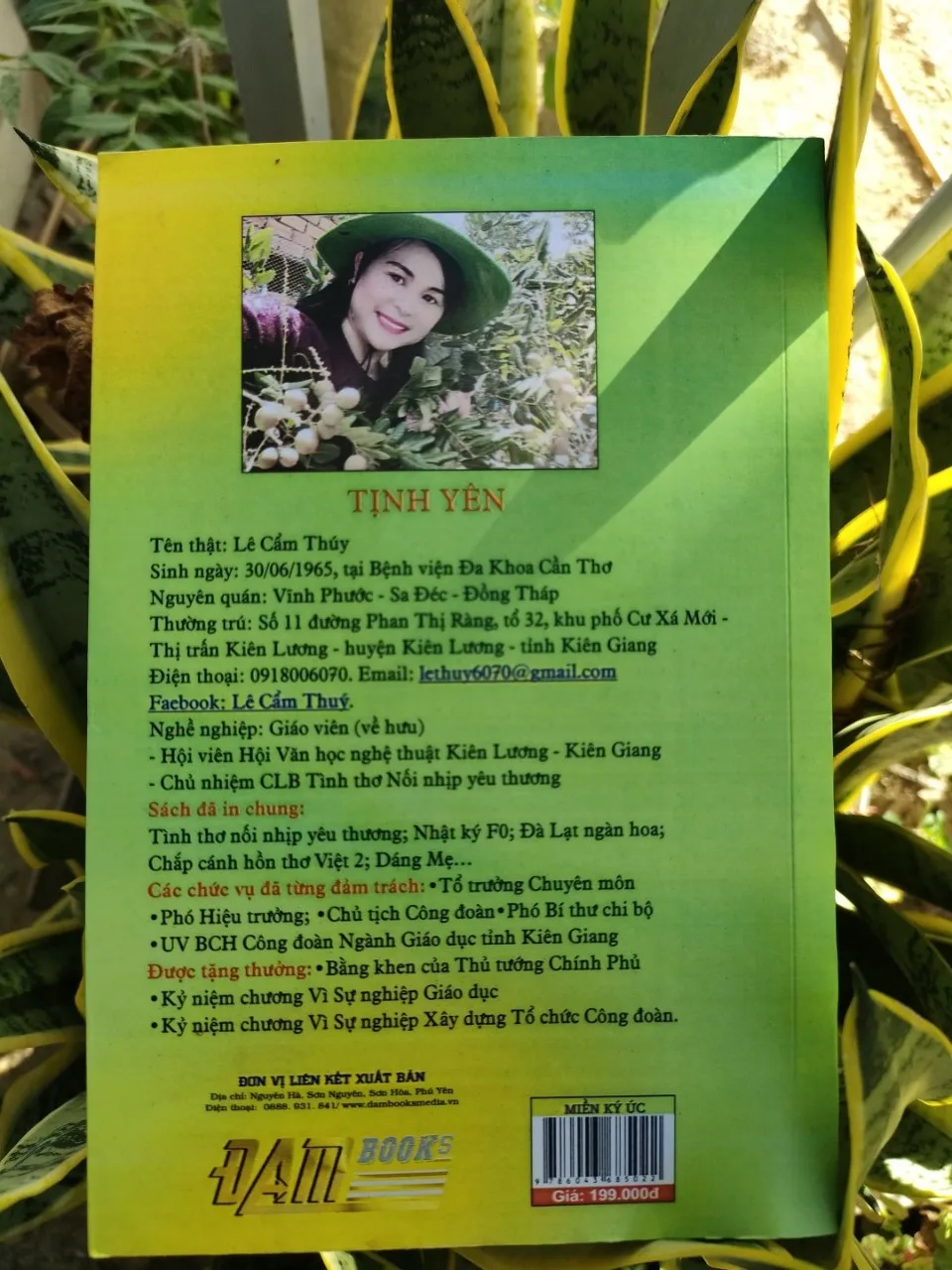 Cảm nhận thơ Tịnh Yên qua “Miền Ký ức”