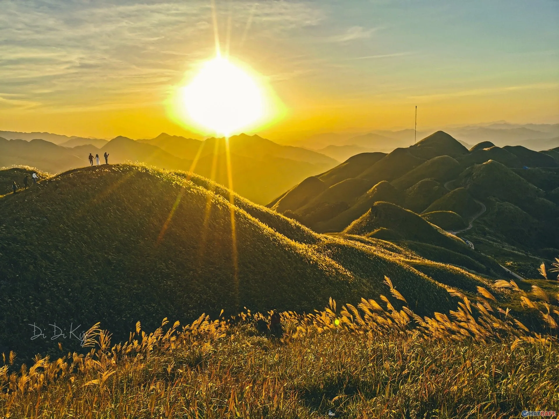 Chùm thơ Tinh Hoa – Tác giả Nguyễn Quốc Trung