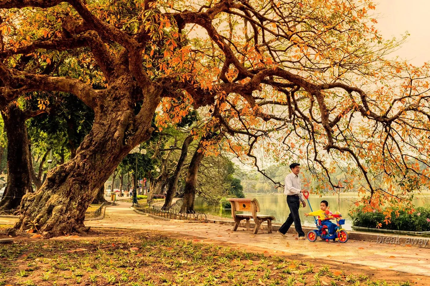Chùm thơ Tinh Hoa – Tác giả Trần Dũng