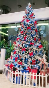 Cây thông Noel - Biểu tượng Lễ Giáng Sinh