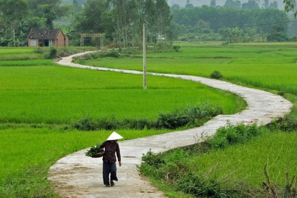 Chùm thơ Tinh Hoa – Tác giả Lê Văn Sinh
