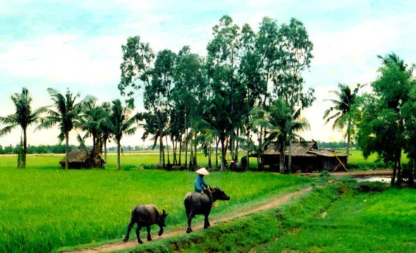 Chùm thơ Tinh Hoa – Tác giả Lê Minh Tuấn