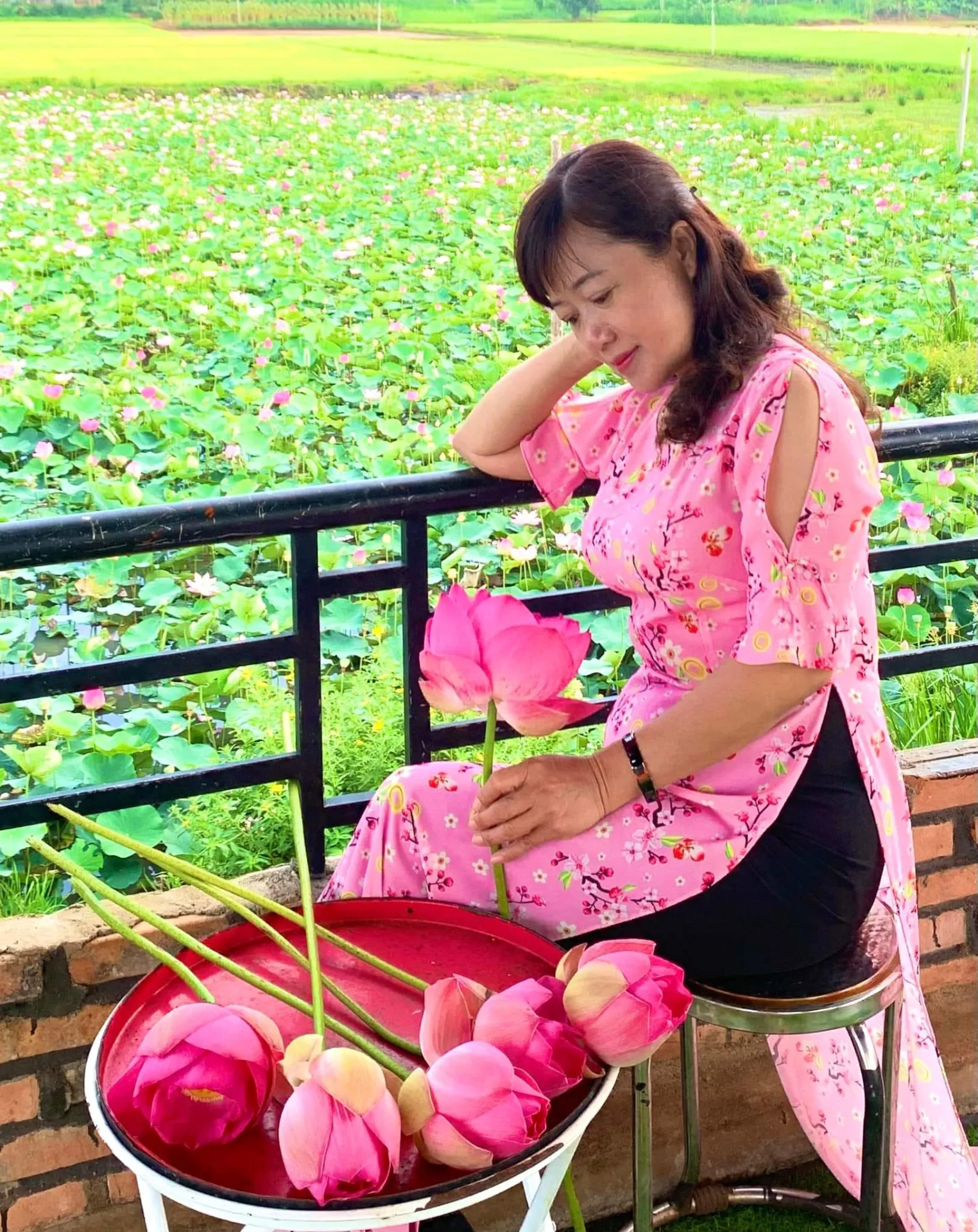 Ảnh dự thi Nguyễn Thị Hiền (Gia Lai) – NTH055