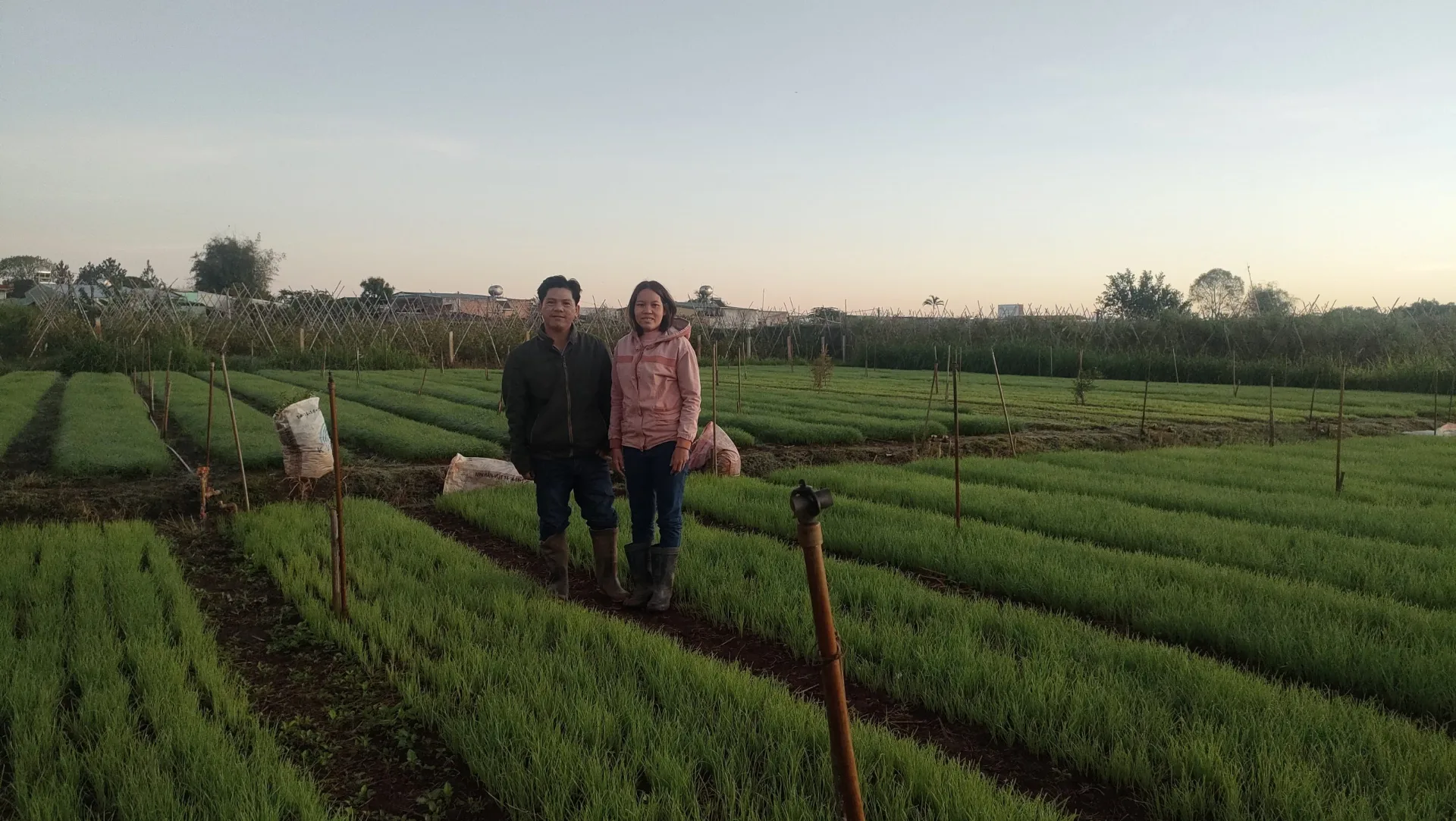 Ký sự ảnh: Bình minh ở vườn chị Sáu