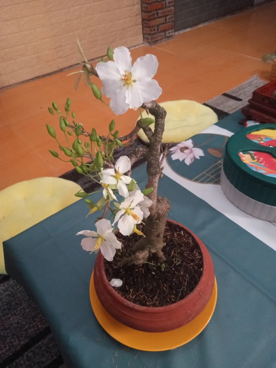 Hết một mùa xuân – Lưu Giang