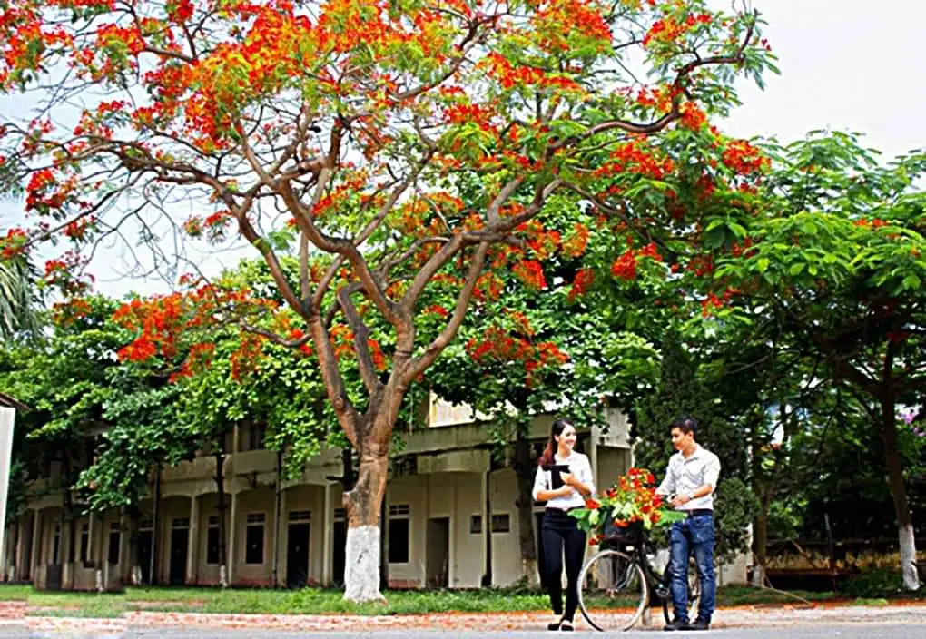 Chợt nhớ – Thơ Ngọc Trong Đá (Nguyễn Quốc Trung)