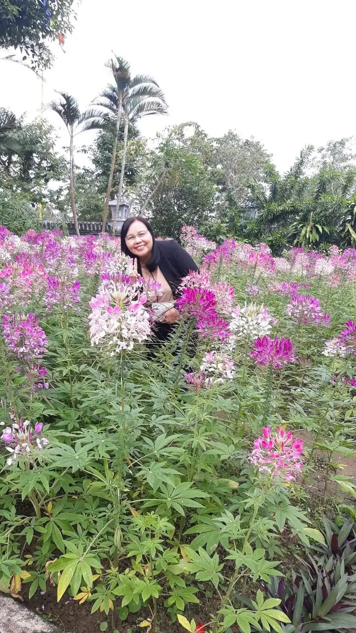 Chùm thơ “Những bóng hồng” – Võ Xiêm