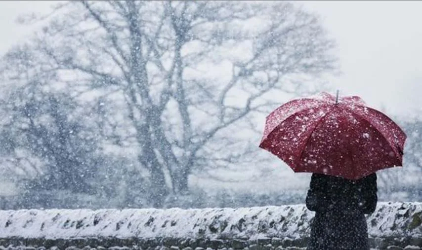 Chùm thơ tác giả Nguyễn Hàm