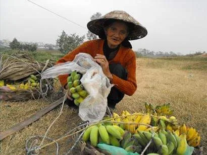 MẸ QUÊ – ĐỖ ANH THƯ (TP. HỒ CHÍ MINH)