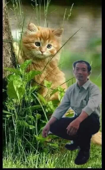 Chùm thơ – Quang Lê