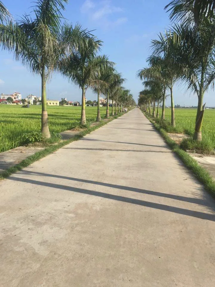 Chùm thơ du xuân – Lưu Giang