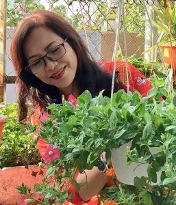 Cội mai già – Lê Yên