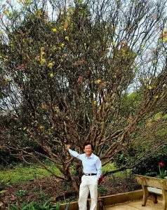 Chùm thơ xuân – Lê Hoàng Phương