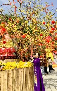 Chùm thơ xuân – Nguyễn Lê