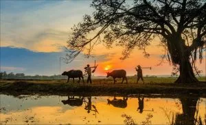 Chùm thơ tình – Phạm Đình Hường