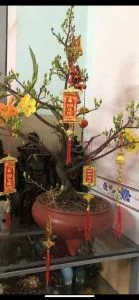 Chùm thơ tình – Phạm Đình Hường