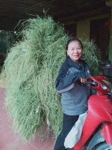 Chùm thơ tổng hợp – Võ Thị Hồng
