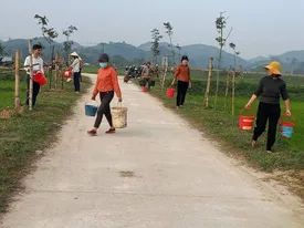 Chùm thơ quê hương – Nguyễn Hữu Trung (Đồng Nai)