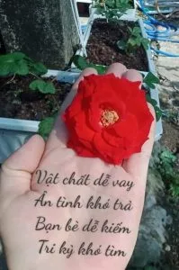 Chùm thơ tình – Thơ Lửa Tuyết