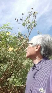 Nắng gió Pleiku và hoa dã quỳ muộn – Thơ Hoàng Chẩm
