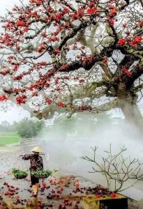 Xao xuyến với chùm thơ lãng mạn của Nguyễn Hữu Trung