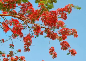 Nguyễn Nhất Thống: Chùm thơ 010