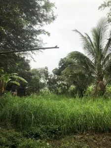 Chùm thơ tình – Phạm Ngọc Minh (Phú Yên)
