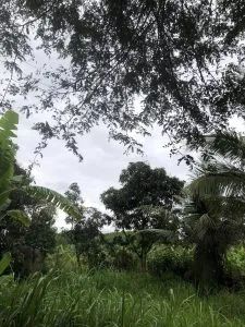 Chùm thơ tình – Phạm Ngọc Minh (Phú Yên)