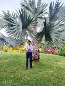 Chùm thơ tình – Thơ Nguyễn Thanh Dũng