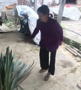 Chùm thơ tình – Nghĩa Hà
