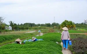 Chùm thơ lãng mạn, trữ tình – Nguyễn Hữu Trung (Đồng Nai)