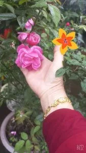 Chùm thơ xuân – Võ Thị Hồng (Nghệ An)