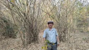 Khát khao – Thơ Bá Nha
