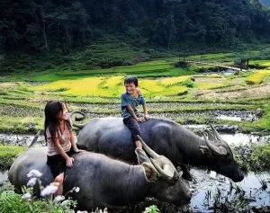 Lần đầu gặp nhau – Thơ Vương Đình Phúc