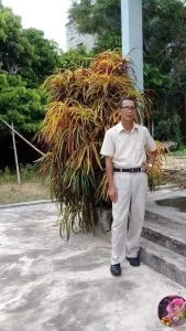 Mùa thu và nỗi nhớ – Thơ Duy Hoàng Duy