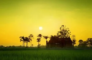 Trở lại quê hương – Thơ Nguyễn Gia Kiên