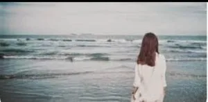 Thơ tình – Kim Triệu Phú