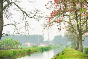 Chùm thơ tình – Lê Thị Thúy Ngân