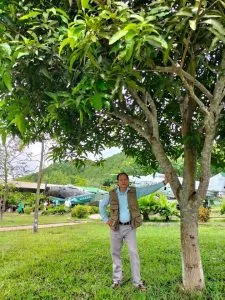 Người mẹ của tôi – Thơ Phạm Quốc Tý