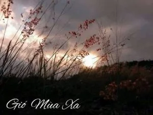 Chùm thơ tình – Phạm Như Tý (Quảng Trị)