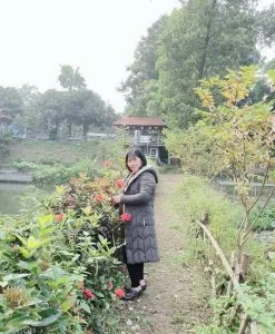 Chùm thơ tình – Tạ Thị Thanh Xuân