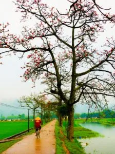 Chùm thơ tình – Nguyễn Đắc Lĩnh (Bắc Ninh)