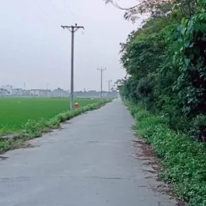Chùm thơ tình – Nguyễn Đắc Lĩnh (Bắc Ninh)
