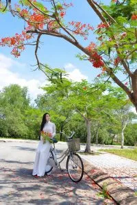 Chùm thơ tình – Trần Quang Tùng (Kim Bảng – Hà Nam)