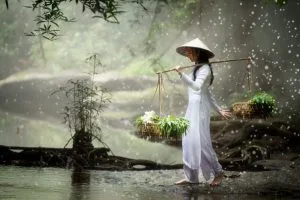 Chùm thơ tình – Trần Quang Tùng (Kim Bảng – Hà Nam)